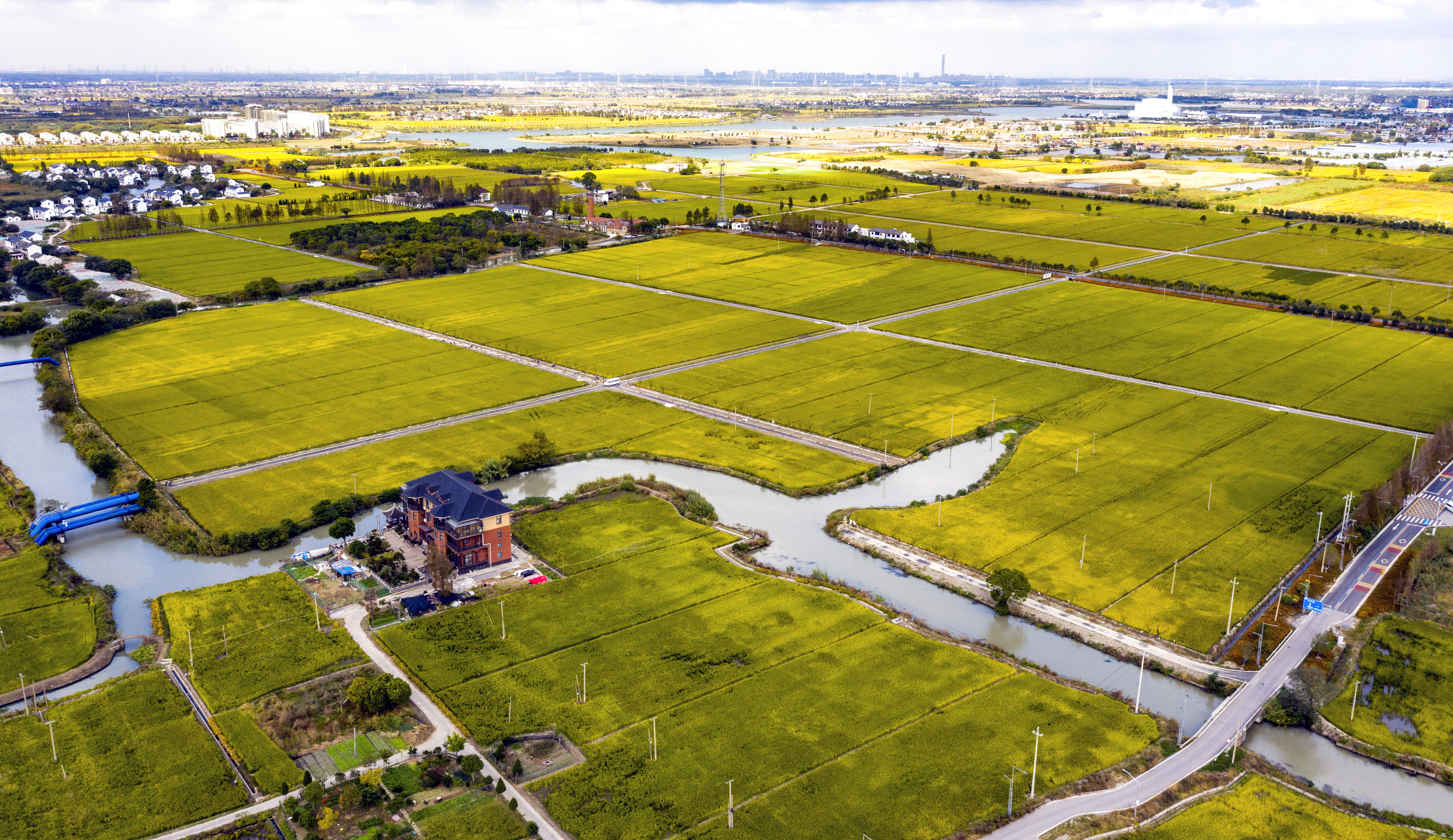 浙農股份與浙江省糧食集團簽署戰略合作協議 ...