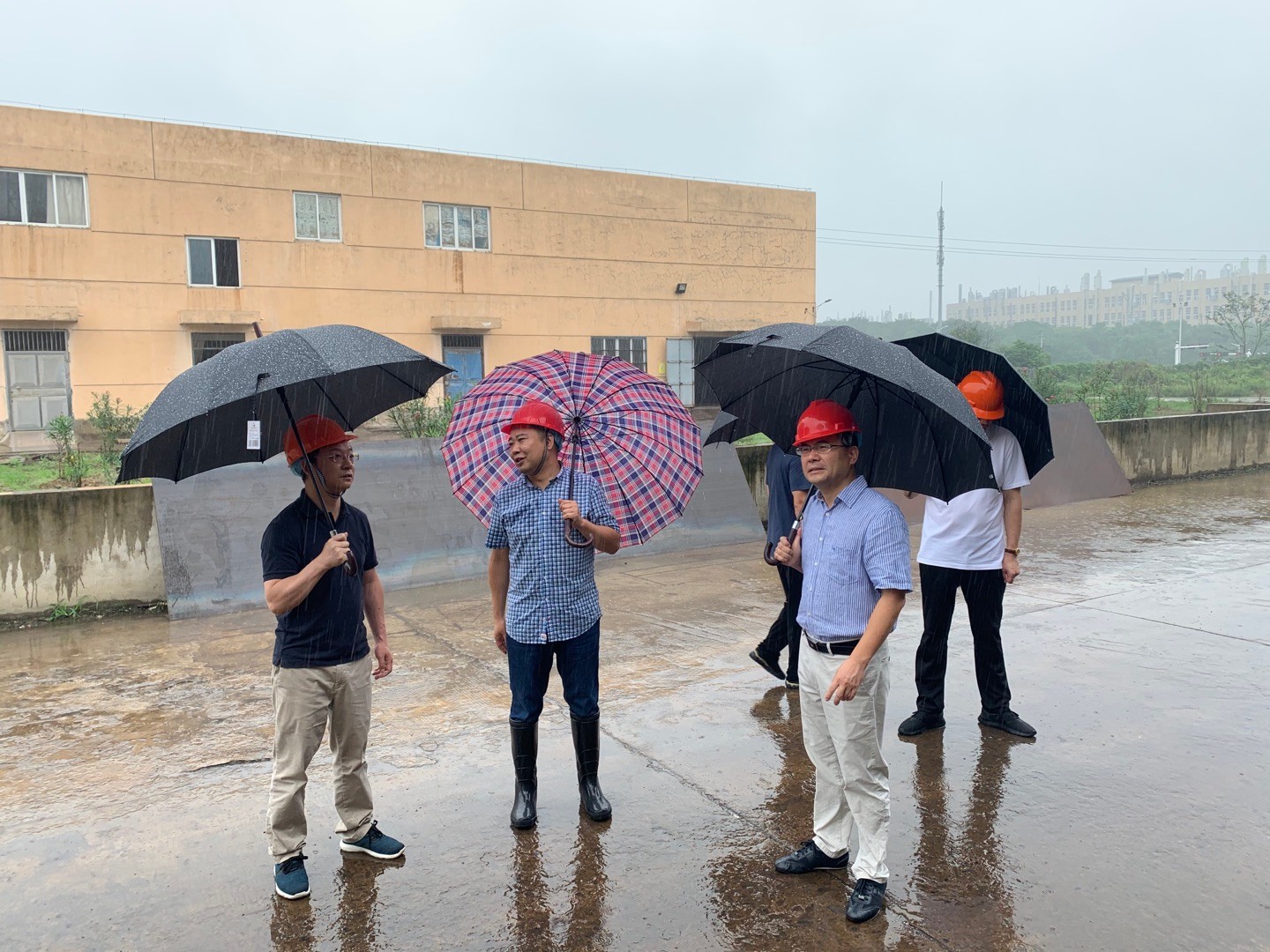 1629168238617936.jpg 1629168238617936.jpg